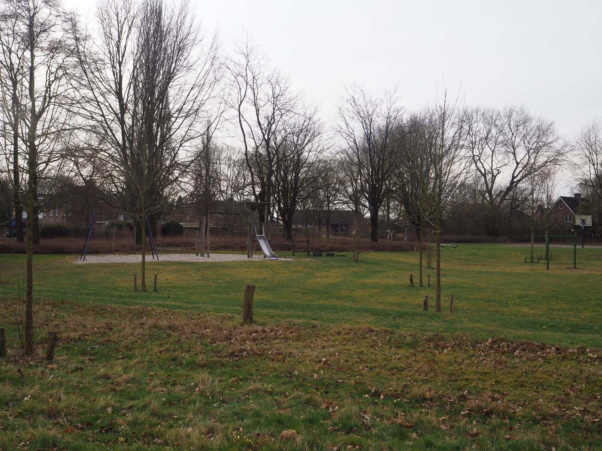 Enlarge image: a grassy field containing a sandbox with swing, climbing frame and slide.